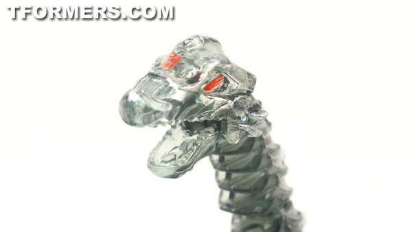 TF4 Dinobots Platinum Edition Unleashed Shared BBTS Exclusive 5 Pack  (65 of 87)